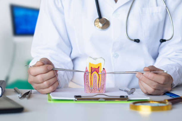 Best Emergency Tooth Extraction in Stanton, NE